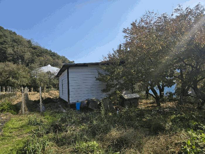 강원특별자치도 인제군 인제읍 가아리 578-3 전 경매 사진 3