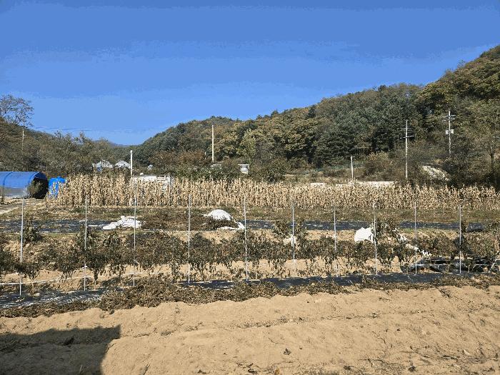 강원특별자치도 인제군 인제읍 가아리 578-3 전 경매 사진 4