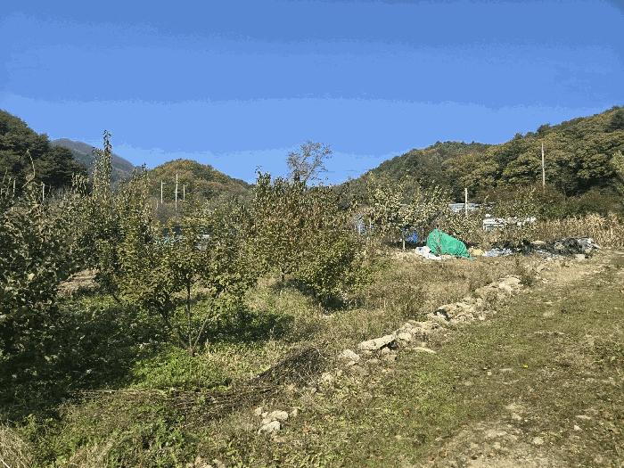 강원특별자치도 인제군 인제읍 가아리 578-3 전 경매 사진 6