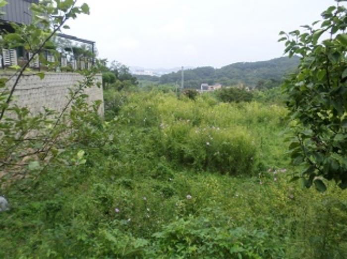 강원특별자치도 원주시 봉산동 779-29 임야 경매 사진 13