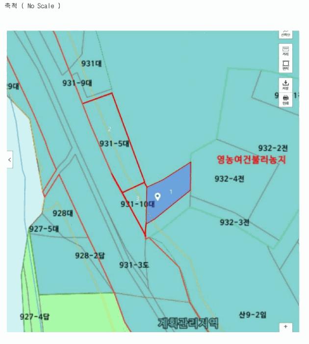 강원특별자치도 횡성군 둔내면 두원리 931-1 대지 경매 사진 8