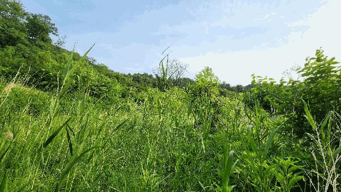 강원 원주시 답