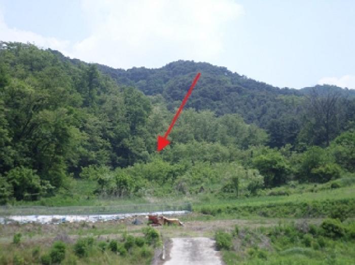 강원특별자치도 원주시 반곡동 116 답 경매 사진 5