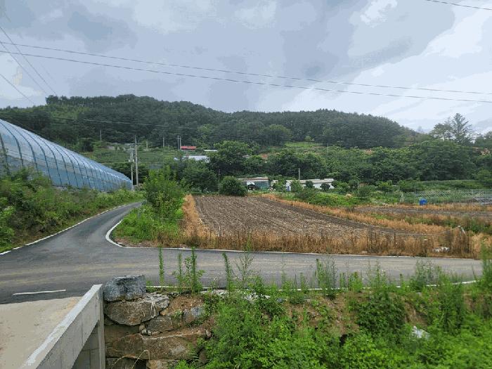 강원특별자치도 횡성군 강림면 월현리 1458-3 전 경매 사진 3