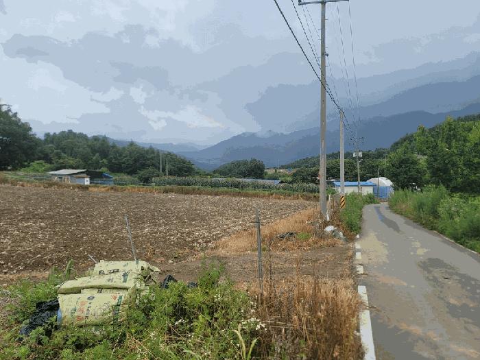 강원특별자치도 횡성군 강림면 월현리 1465-1 전 경매 사진 2