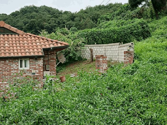 경기도 평택시 현덕면 기산리 47 전 경매 사진 2