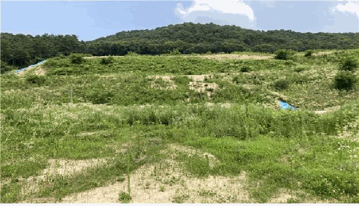 강원 원주시 답