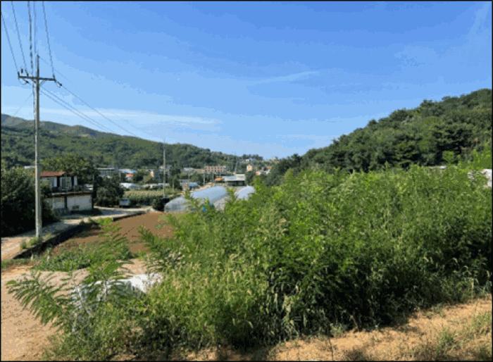 강원특별자치도 동해시 망상동 320-2 임야 경매 사진 1