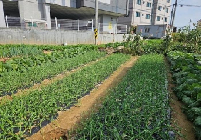 경기도 평택시 팽성읍 두정리 158-16 대지 경매 사진 5