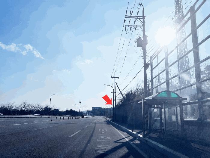 강원특별자치도 동해시 망상동 산103-5 임야 경매 사진 1