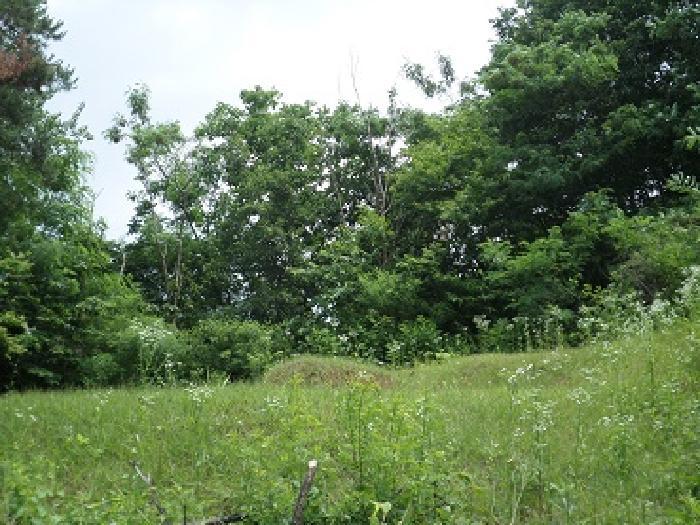 강원특별자치도 원주시 문막읍 포진리 산12 임야 경매 사진 5