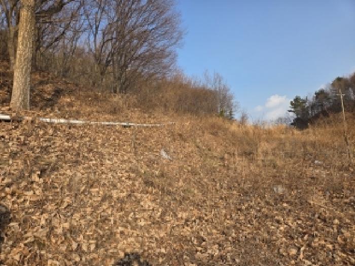 강원특별자치도 삼척시 원덕읍 노곡리 251 답 경매 사진 6