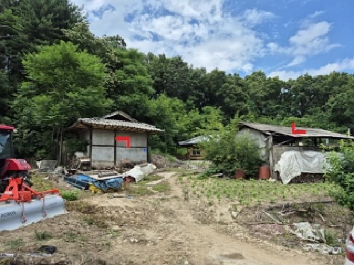 강원특별자치도 횡성군 횡성읍 추동리 291-3 대지 경매 사진 5