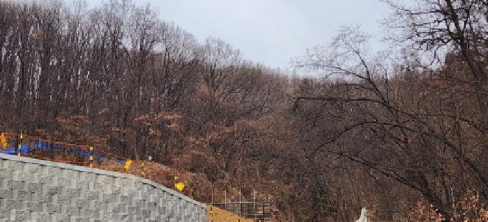 경기도 광주시 곤지암읍 수양리 산48-2 임야 경매 사진 4
