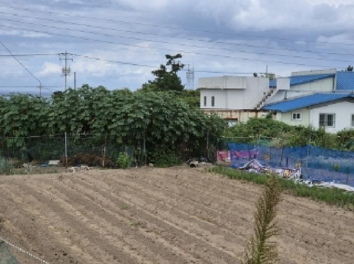 경상북도 포항시 북구 흥해읍 용한리 467-2 전 경매 사진 4