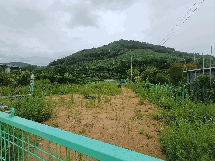 부산광역시 기장군 기장읍 내리 362-1 답 경매 사진 10