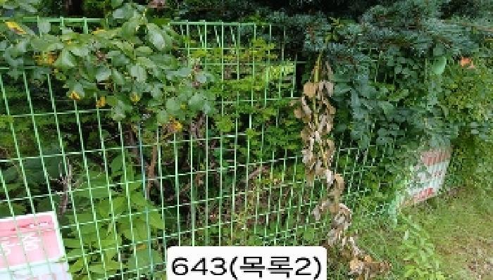부산광역시 기장군 기장읍 내리 362-1 답 경매 사진 6