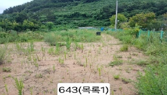 부산광역시 기장군 기장읍 내리 362-1 답 경매 사진 8