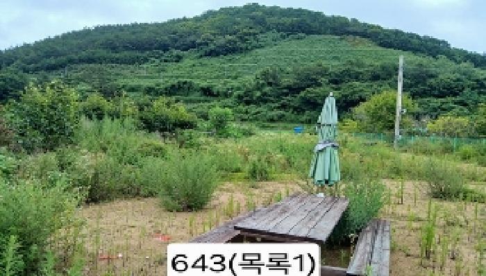 부산광역시 기장군 기장읍 내리 362-1 답 경매 사진 9