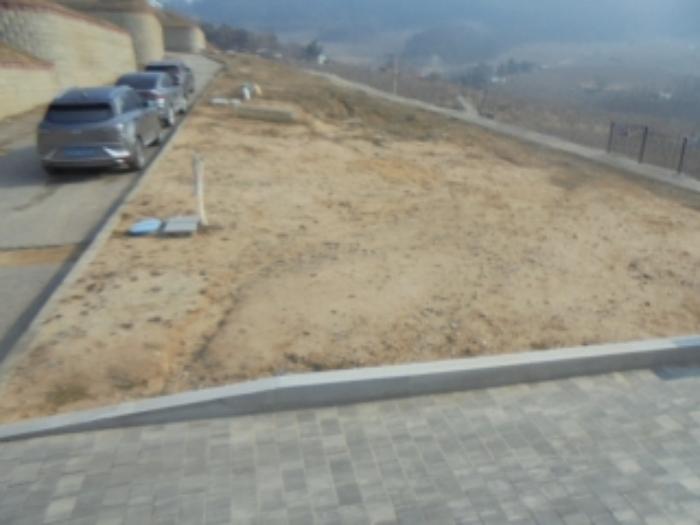 충청북도 충주시 안림동 98-42 과수원 경매 사진 2