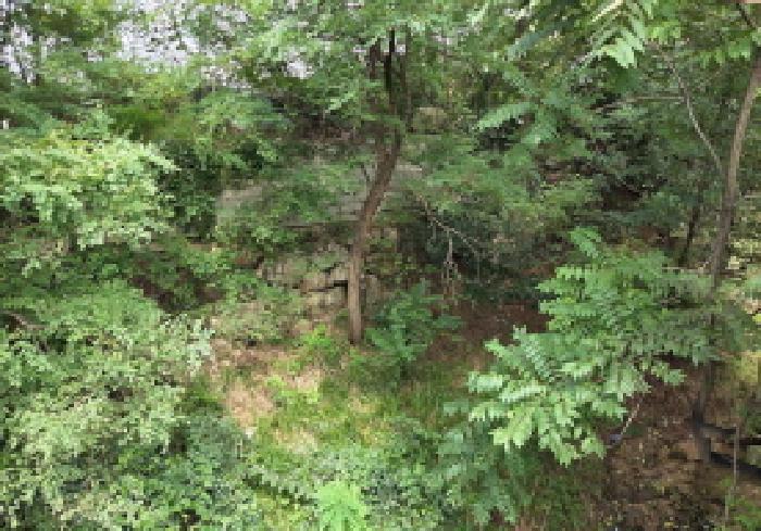 충청남도 아산시 도고면 와산리 47-10 임야 경매 사진 19