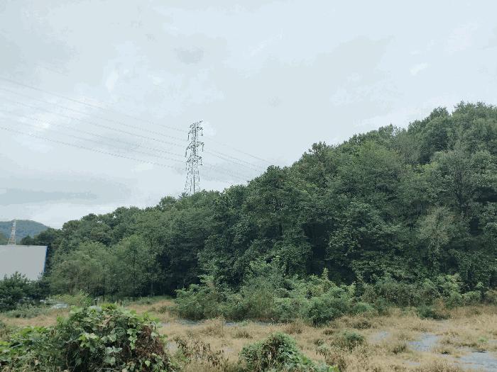충청남도 아산시 도고면 와산리 47-10 임야 경매 사진 2