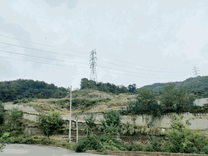 충청남도 아산시 도고면 와산리 47-10 임야 경매 사진 9
