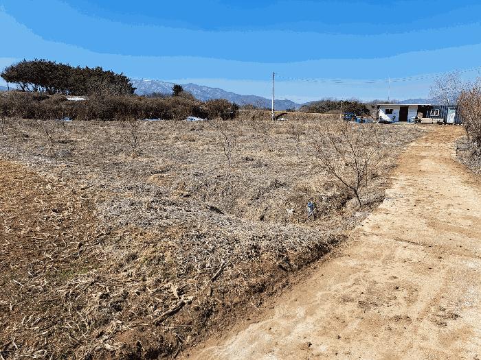 충청북도 충주시 주덕읍 신양리 730 전 경매 사진 12