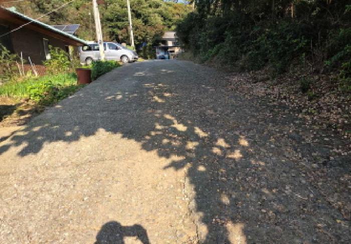 충청남도 천안시 서북구 성환읍 성월리 167-4 대지 경매 사진 11
