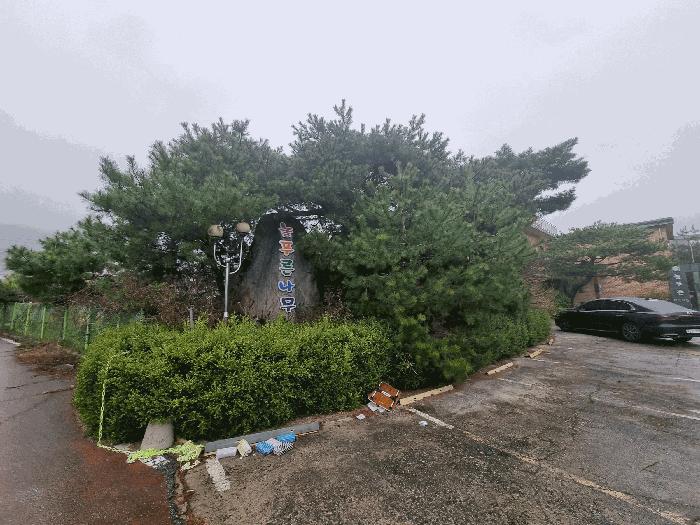 충청북도 충주시 연수동 278-2 노유자시설 경매 사진 15