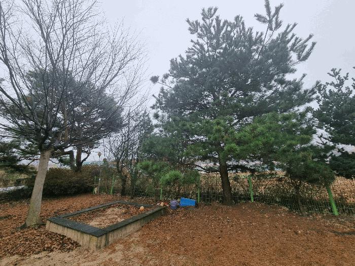 충청북도 충주시 연수동 278-2 노유자시설 경매 사진 4