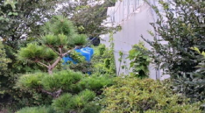 전북특별자치도 완주군 구이면 덕천리 1085 전 경매 사진 8