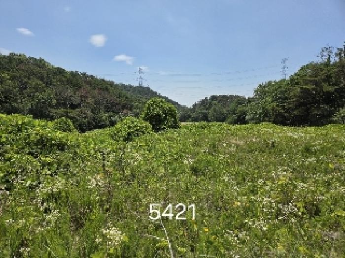 부산광역시 기장군 장안읍 반룡리 258 답 경매 사진 4