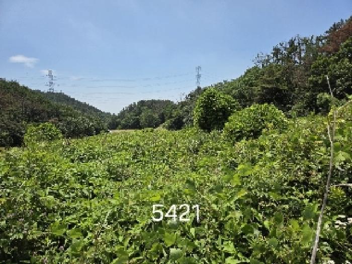 부산광역시 기장군 장안읍 반룡리 258 답 경매 사진 5