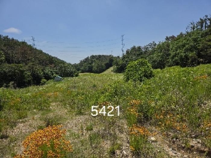 부산광역시 기장군 장안읍 반룡리 258 답 경매 사진 7