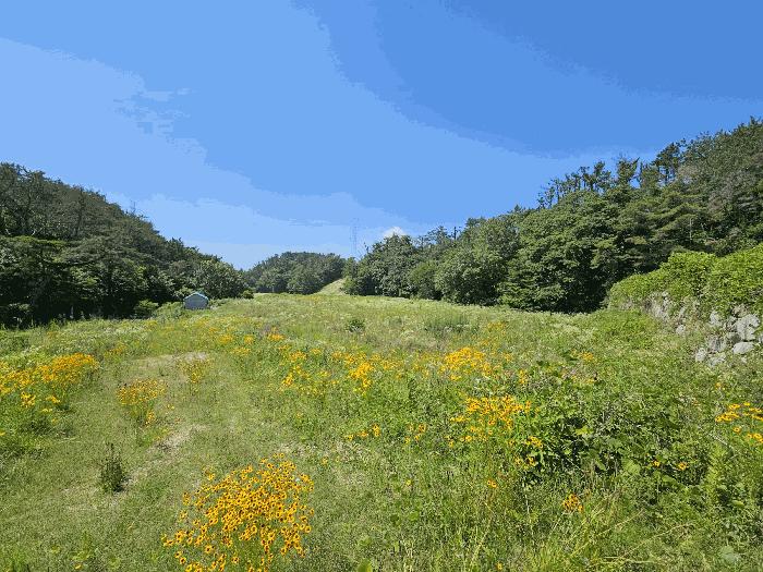 부산광역시 기장군 장안읍 반룡리 258 답 경매 사진 9