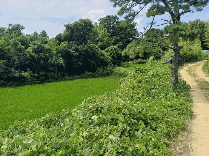 부산 기장군 답