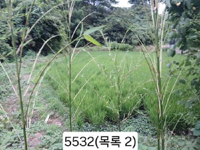 부산광역시 기장군 일광읍 원리 559 답 경매 사진 5