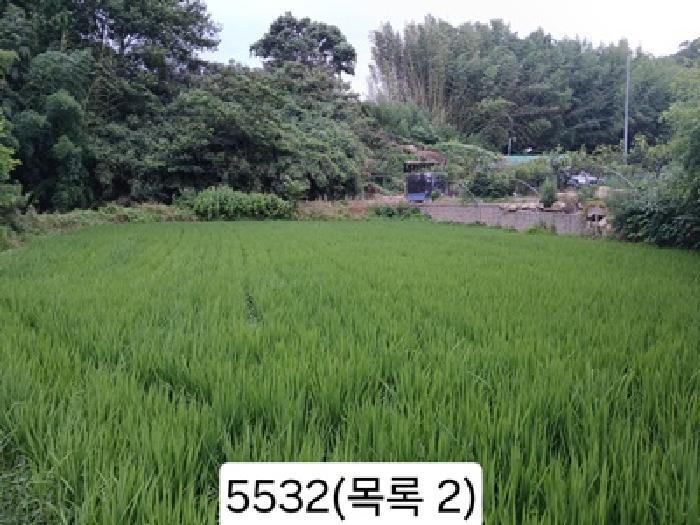 부산광역시 기장군 일광읍 원리 559 답 경매 사진 6