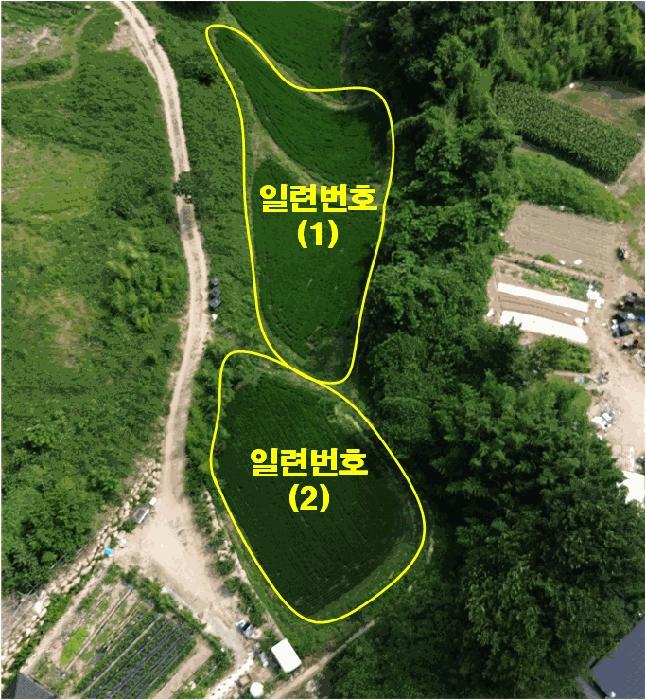 부산광역시 기장군 일광읍 원리 559 답 경매 사진 7