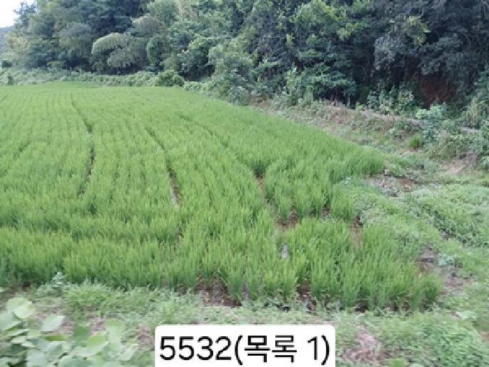 부산광역시 기장군 일광읍 원리 563 답 경매 사진 3