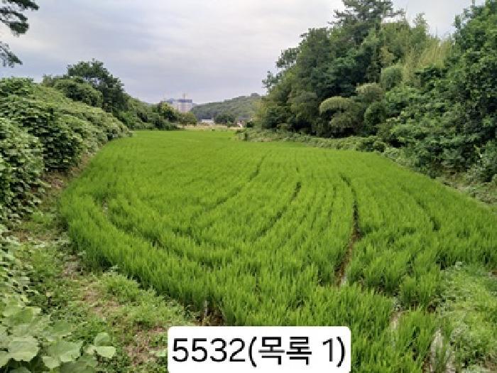 부산광역시 기장군 일광읍 원리 563 답 경매 사진 4