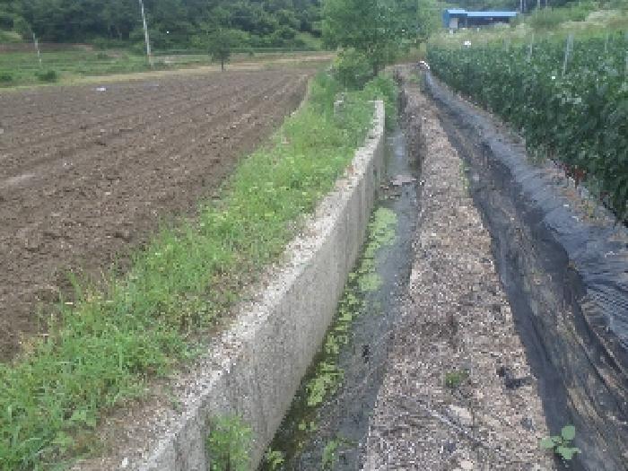 전북특별자치도 임실군 신평면 덕암리 287 전 경매 사진 5