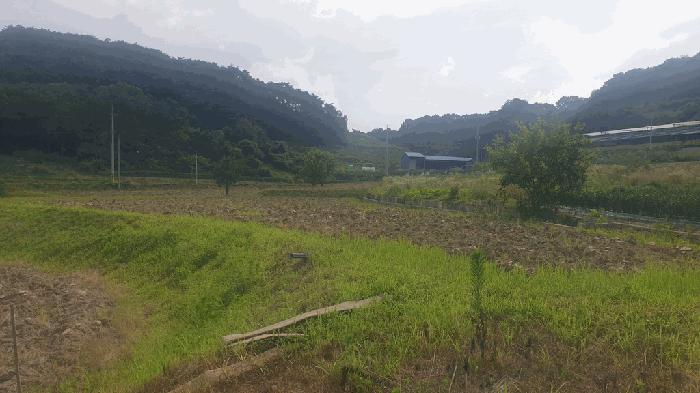 전북 임실군 답