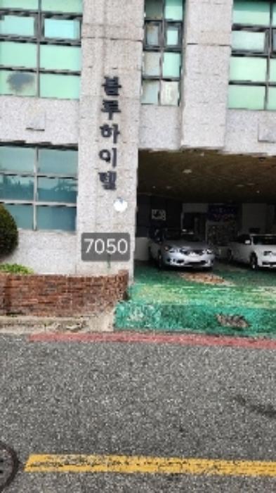 부산광역시 해운대구 좌동 1432-1 블루하이텔 지하1층비이101호 오피스텔 경매 사진 1
