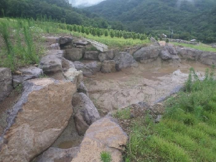 전북특별자치도 임실군 신덕면 신덕리 산14 임야 경매 사진 16