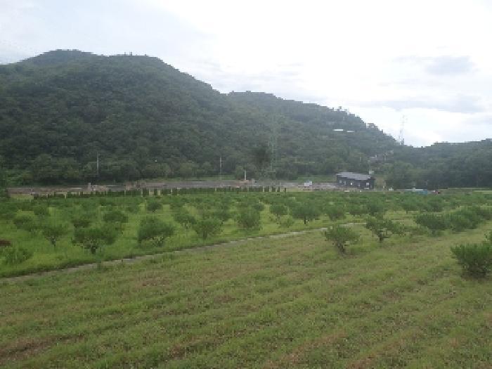 전북특별자치도 임실군 신덕면 신덕리 산14 임야 경매 사진 20