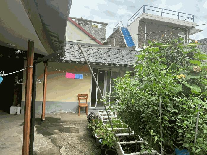 전북특별자치도 전주시 완산구 태평동 247-22 주택 경매 사진 5