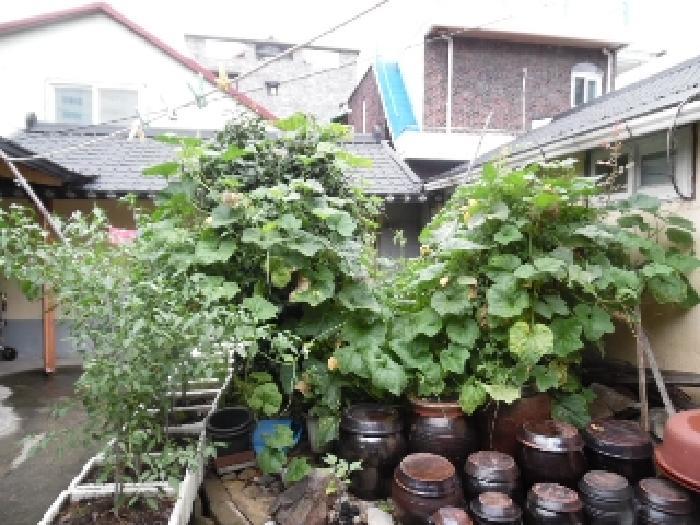 전북특별자치도 전주시 완산구 태평동 247-22 주택 경매 사진 8