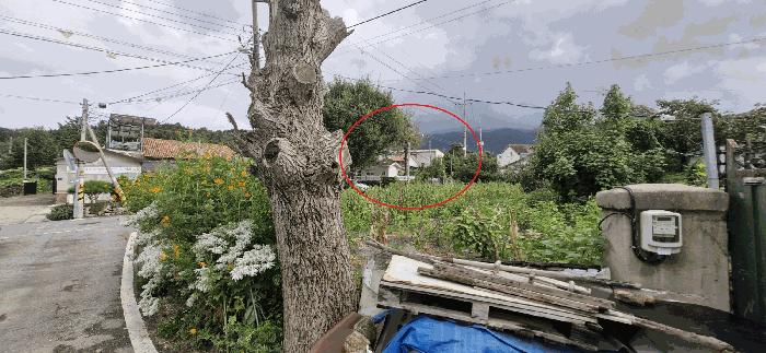 전북 전주시 완산구 다세대(빌라)